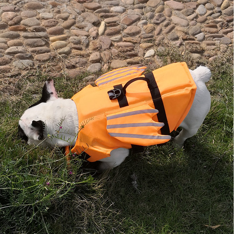 FloatPro Frenchie Walking Harness for Brachycephalic Dogs-fadou