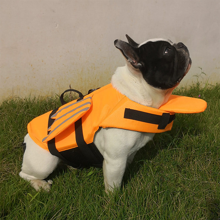 FloatPro Frenchie Walking Harness for Brachycephalic Dogs-fadou