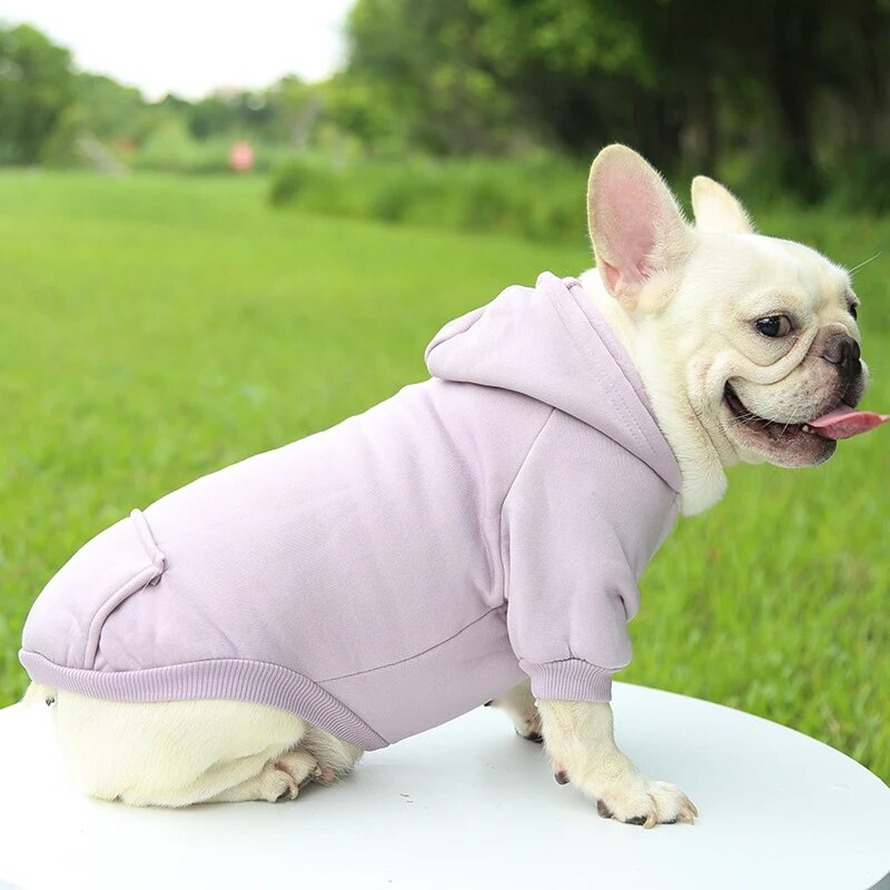 SnugTail French Bulldog Warm Knitwear for Outdoor Adventures-fadou