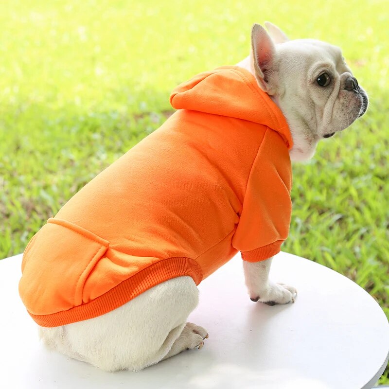 SnugTail French Bulldog Warm Knitwear for Outdoor Adventures-fadou