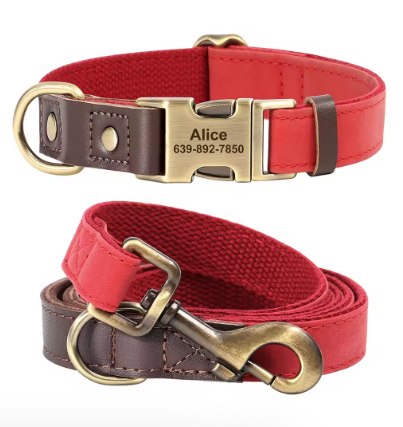 Personalized Adjustable Adjustable Collar for Flat-Face Breeds-fadou
