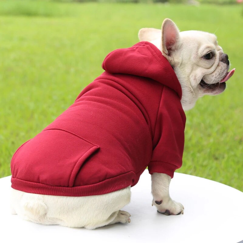 SnugTail French Bulldog Warm Knitwear for Outdoor Adventures-fadou