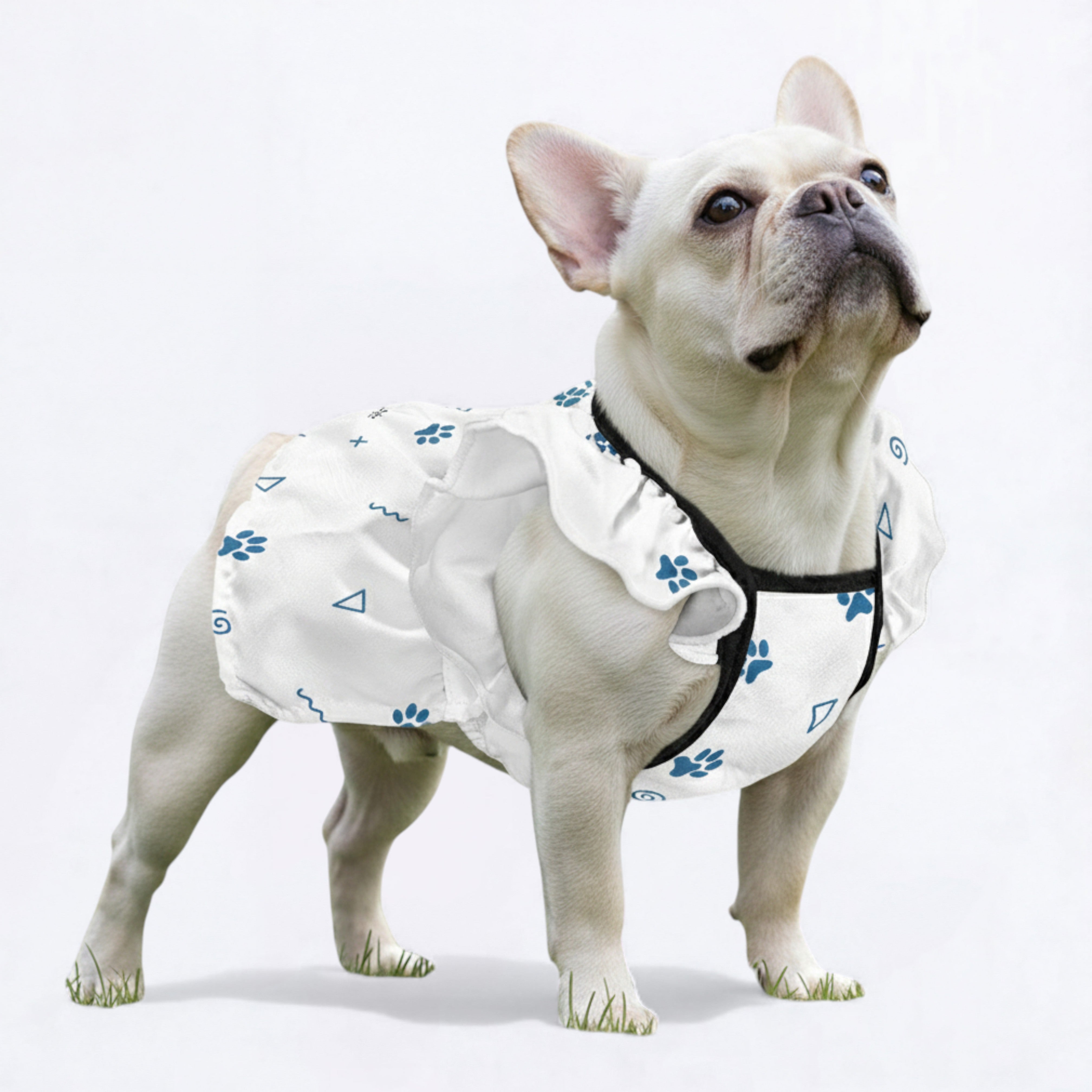 Kaya French Bulldog Summer Dress for Outdoor Adventures-fadou