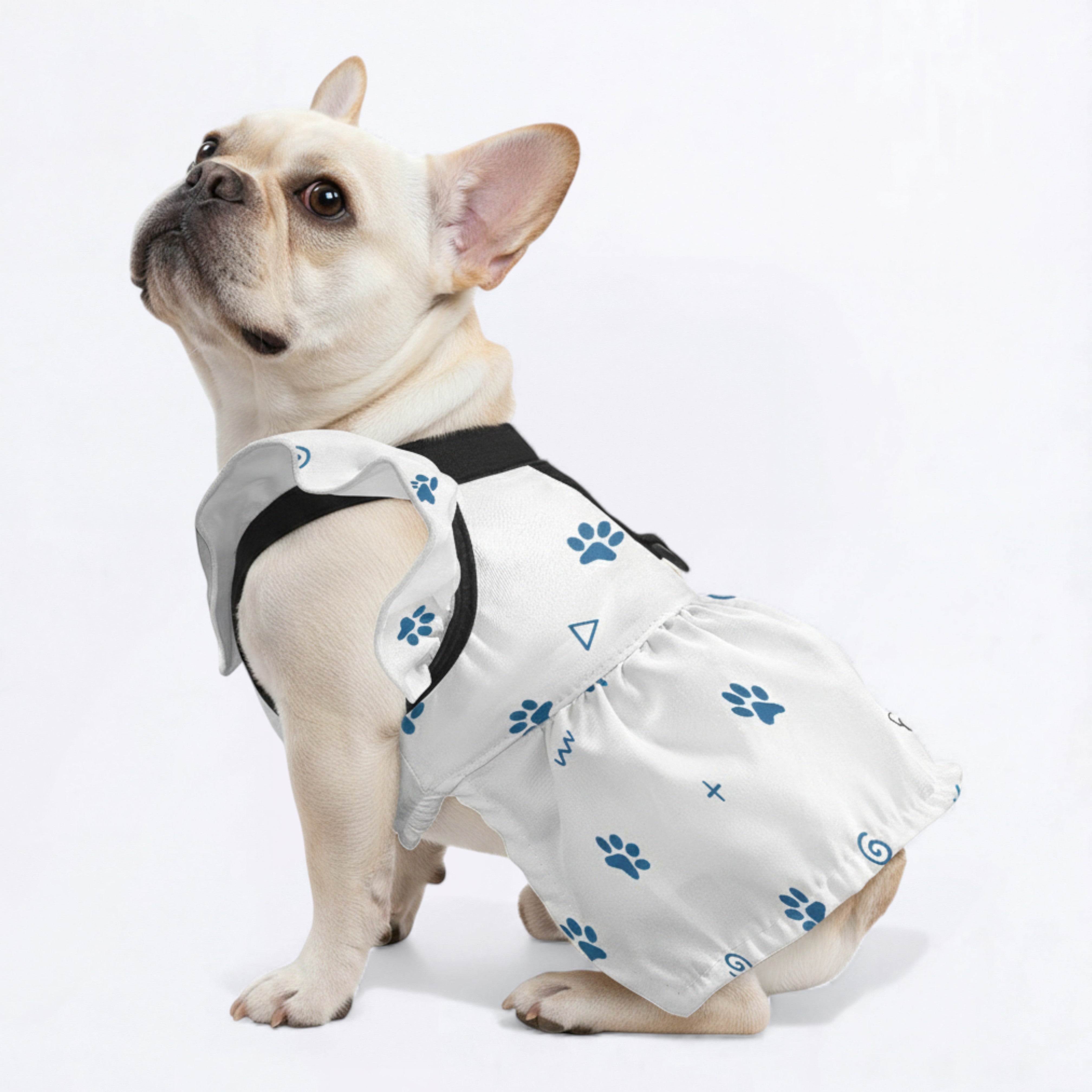 Kaya French Bulldog Summer Dress for Outdoor Adventures-fadou