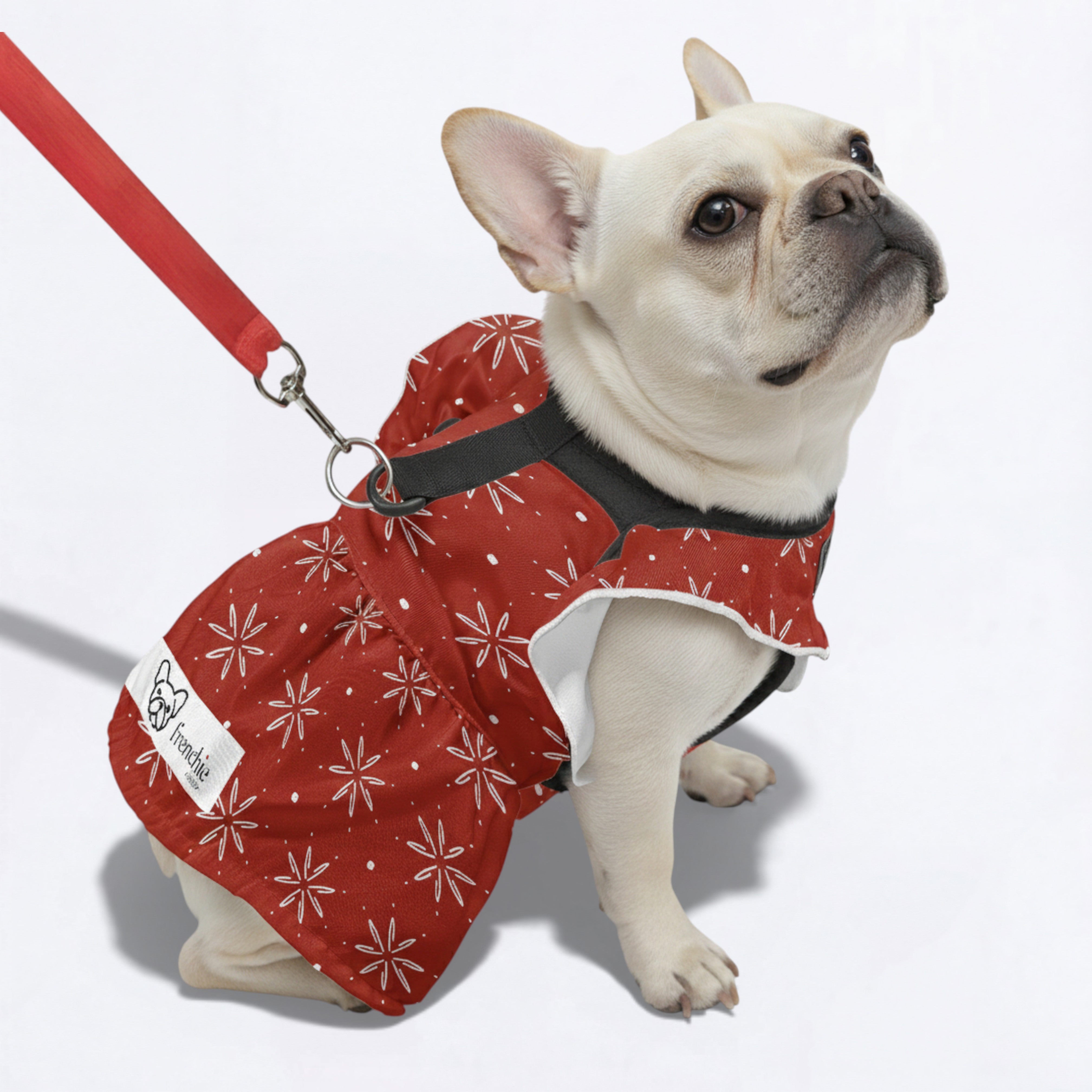 Nala French Bulldog Summer Dress for Brachycephalic Dogs-fadou