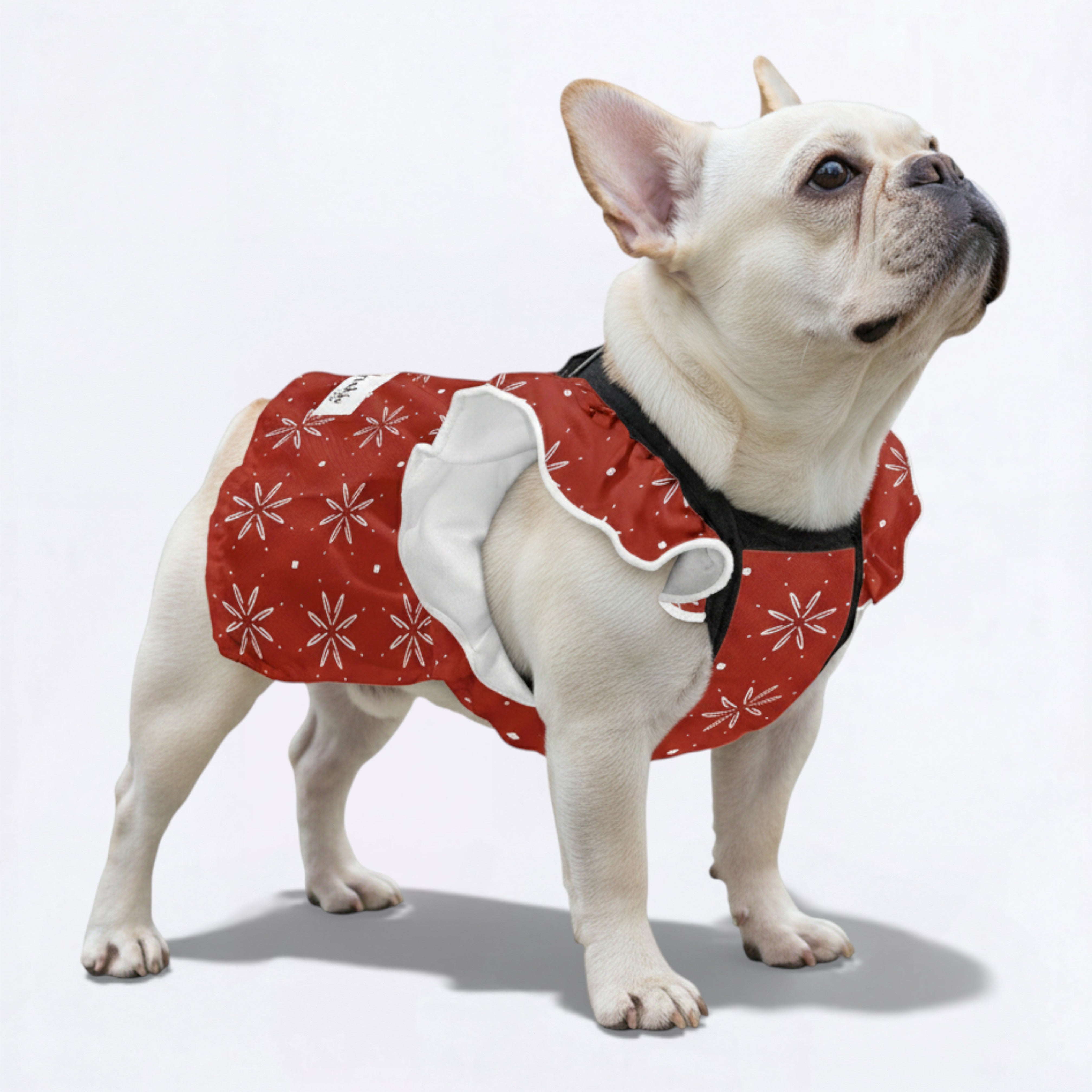 Nala French Bulldog Summer Dress for Brachycephalic Dogs-fadou