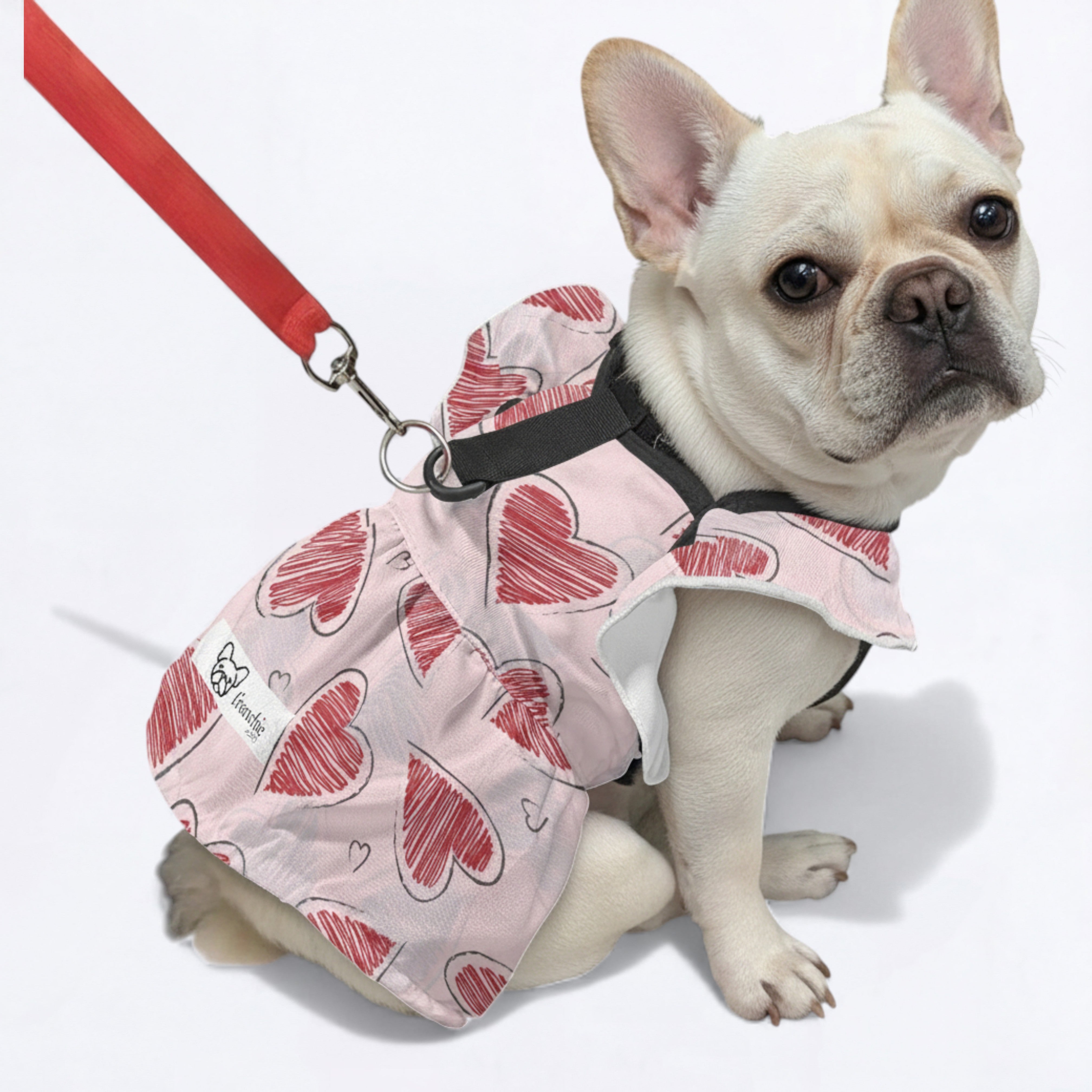 Lola - French Bulldog Dresses for Females for Travel Comfort-fadou
