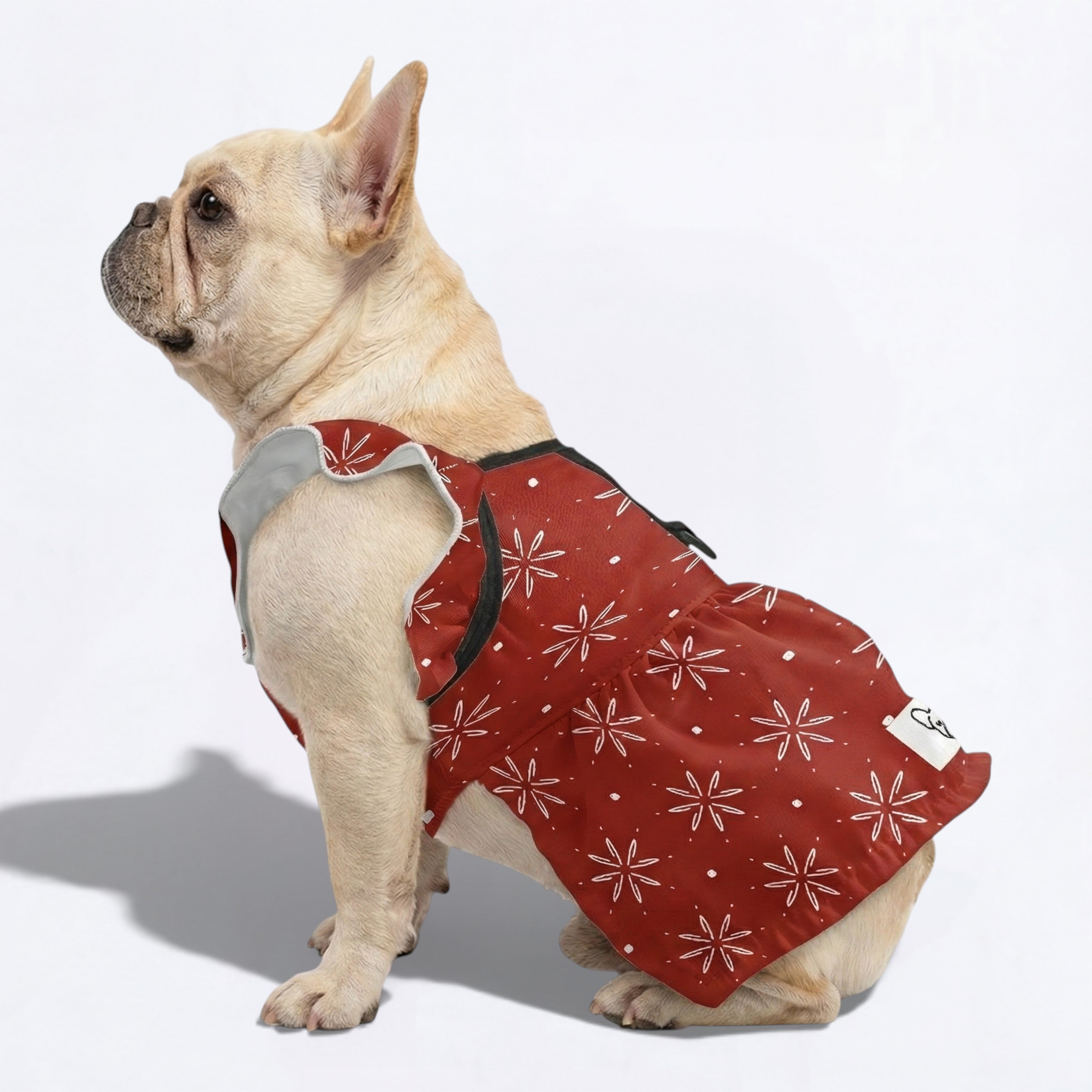 Nala French Bulldog Summer Dress for Brachycephalic Dogs-fadou