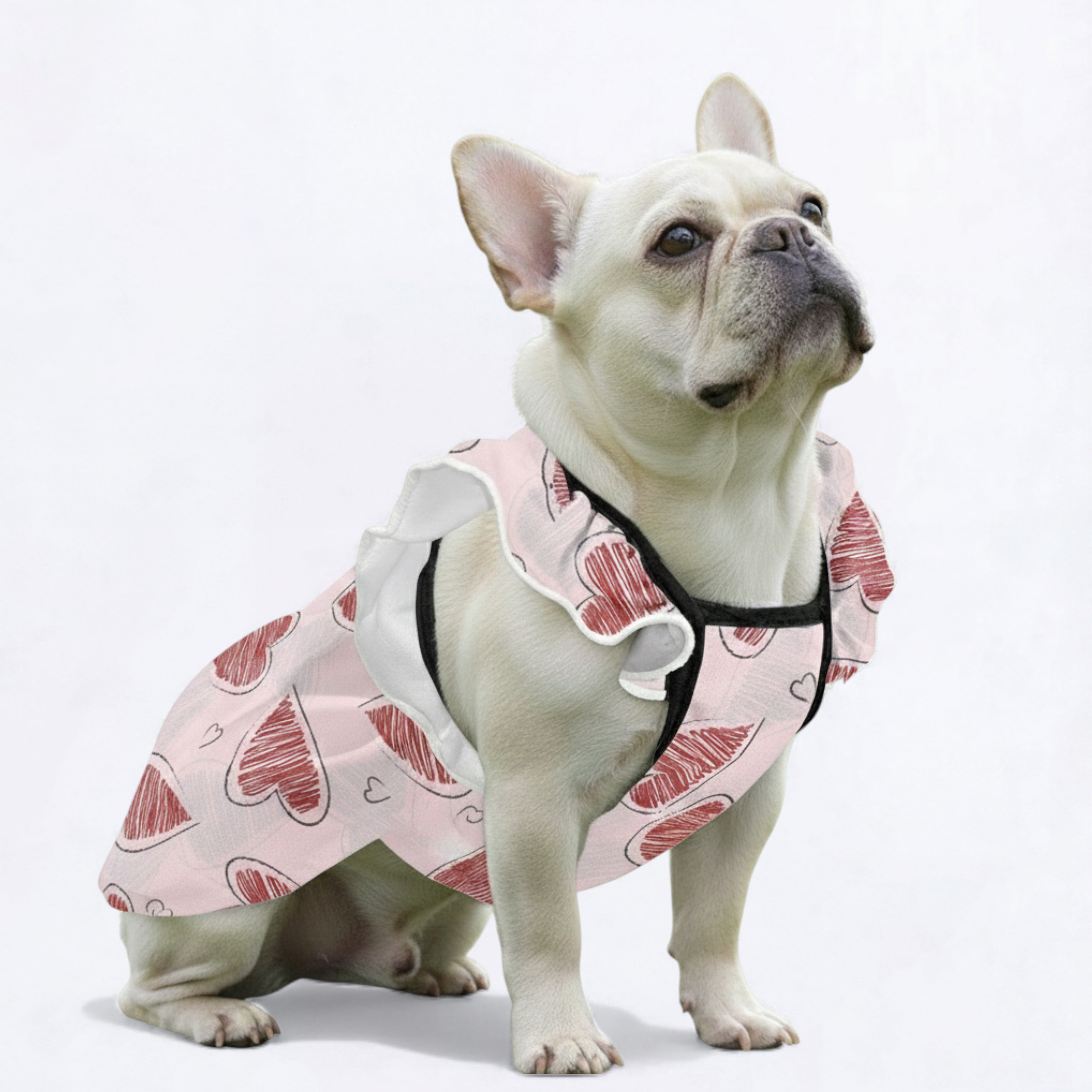 Lola - French Bulldog Dresses for Females for Travel Comfort-fadou