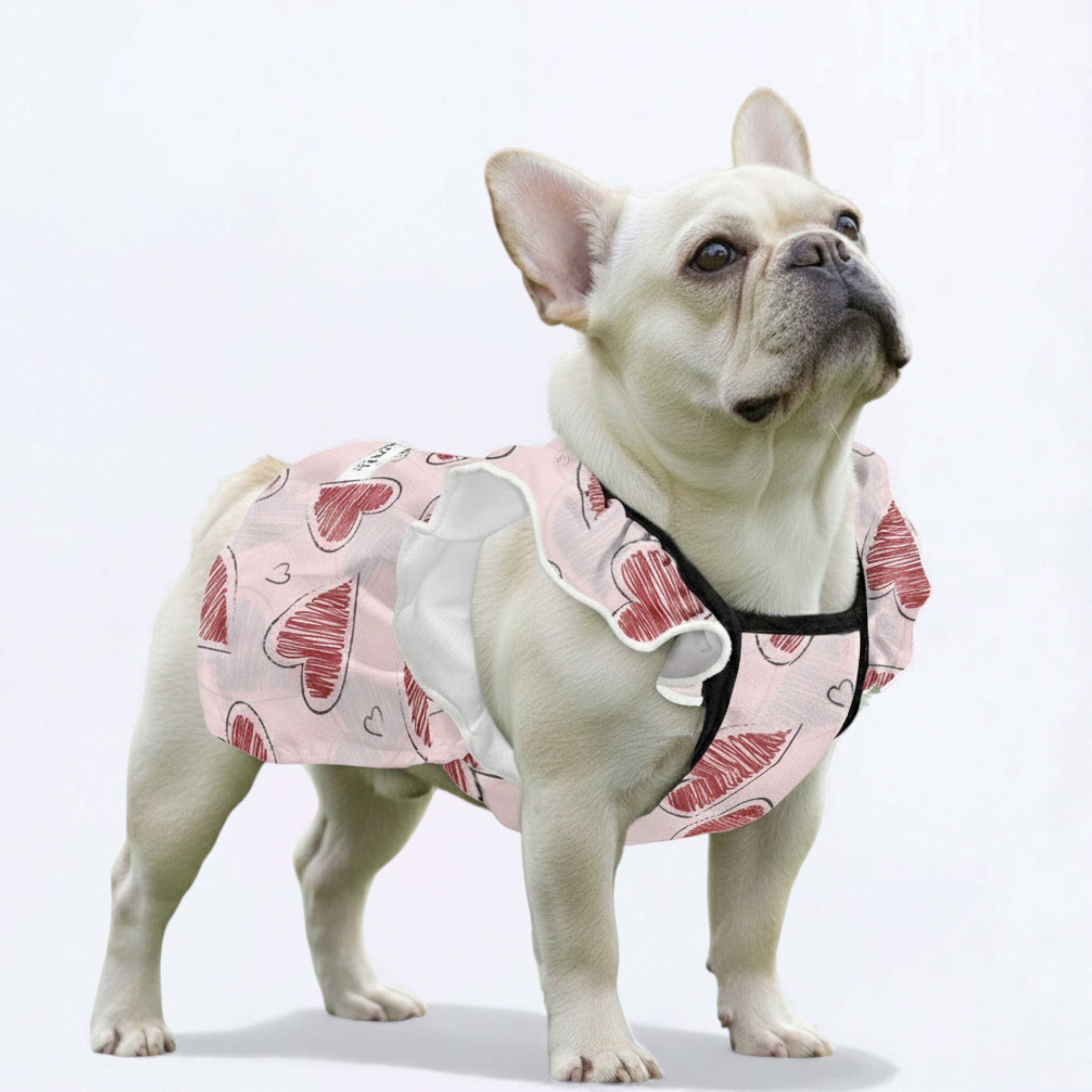 Lola - French Bulldog Dresses for Females for Travel Comfort-fadou