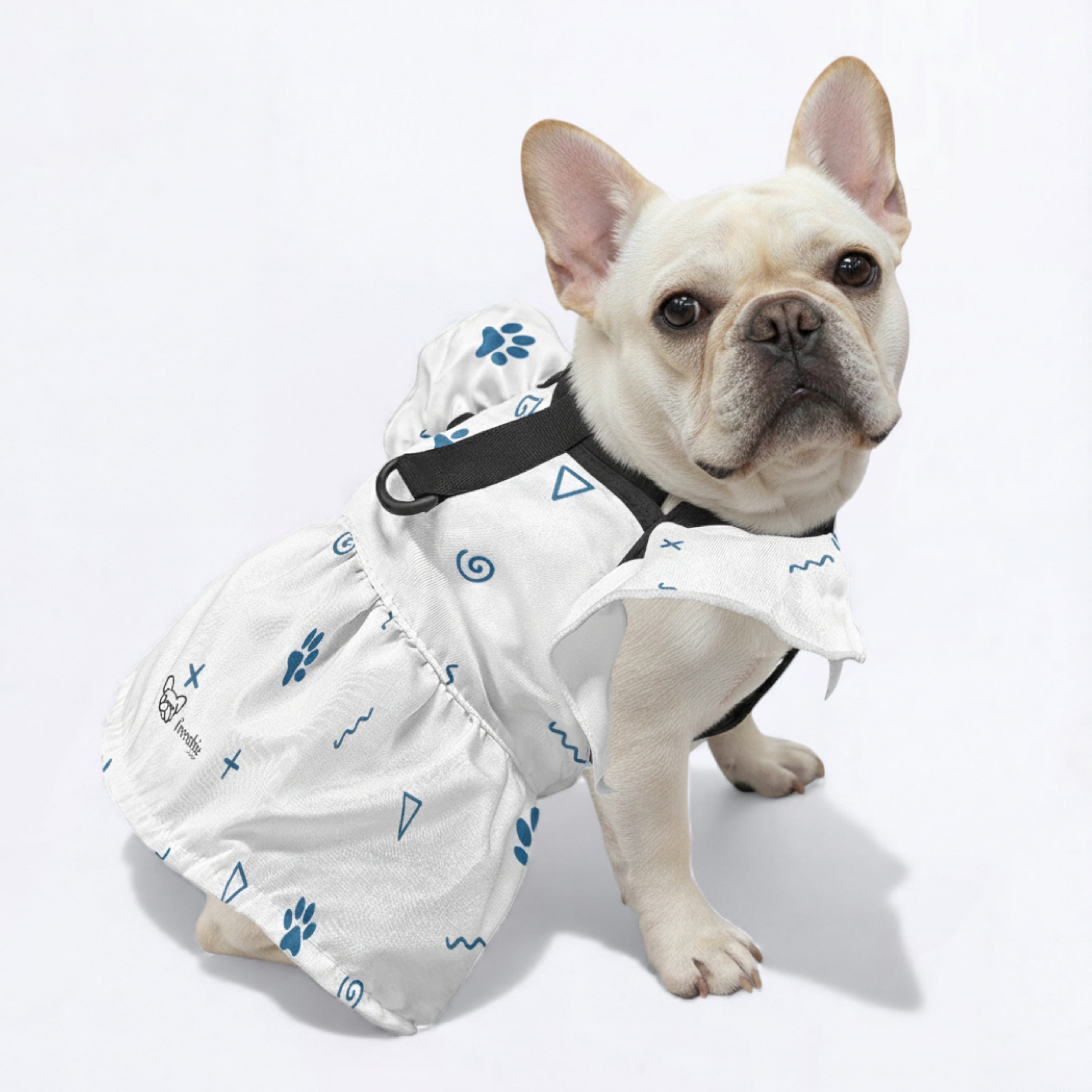 Kaya French Bulldog Summer Dress for Outdoor Adventures-fadou
