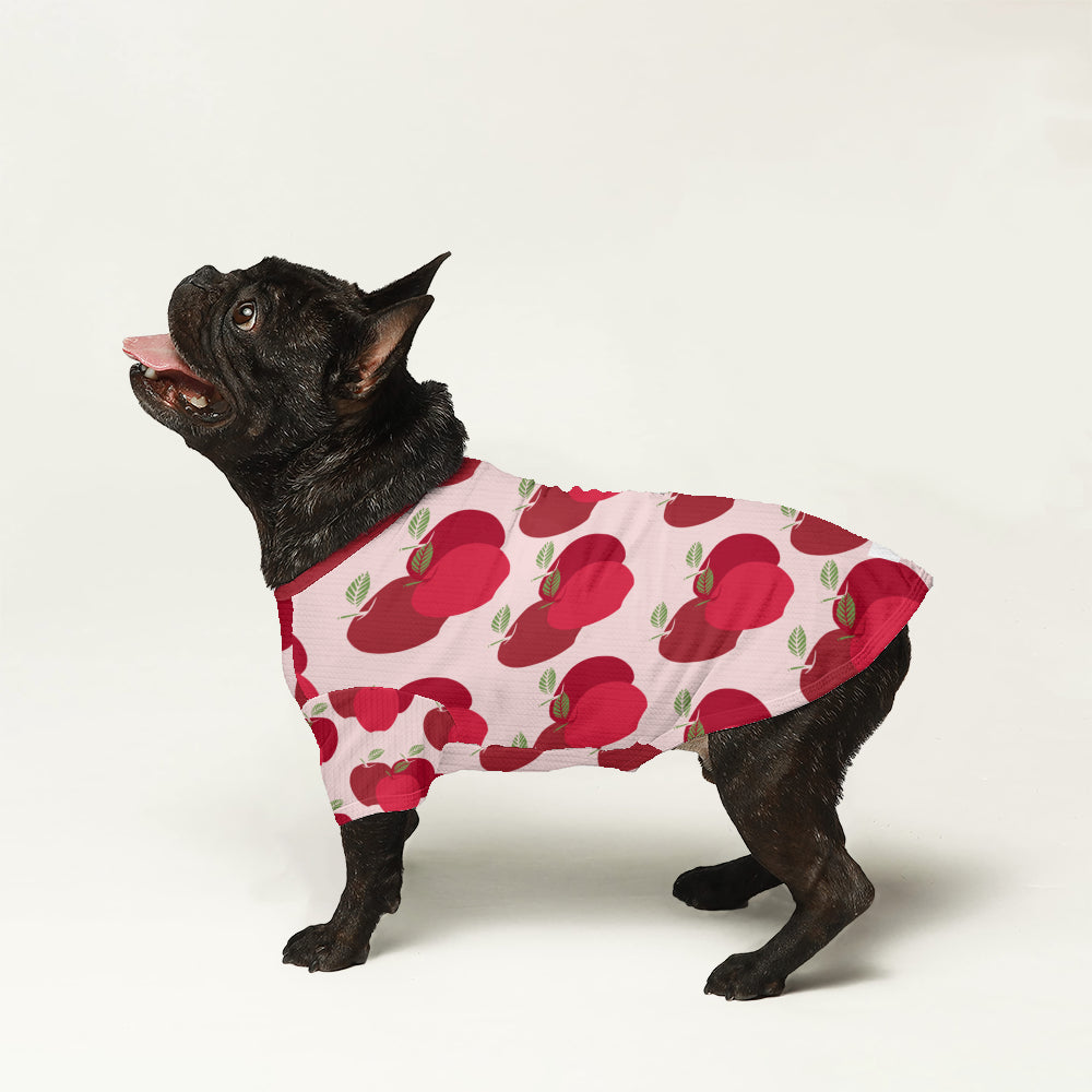 Dude French Bulldog Warm Knitwear for Outdoor Adventures-fadou
