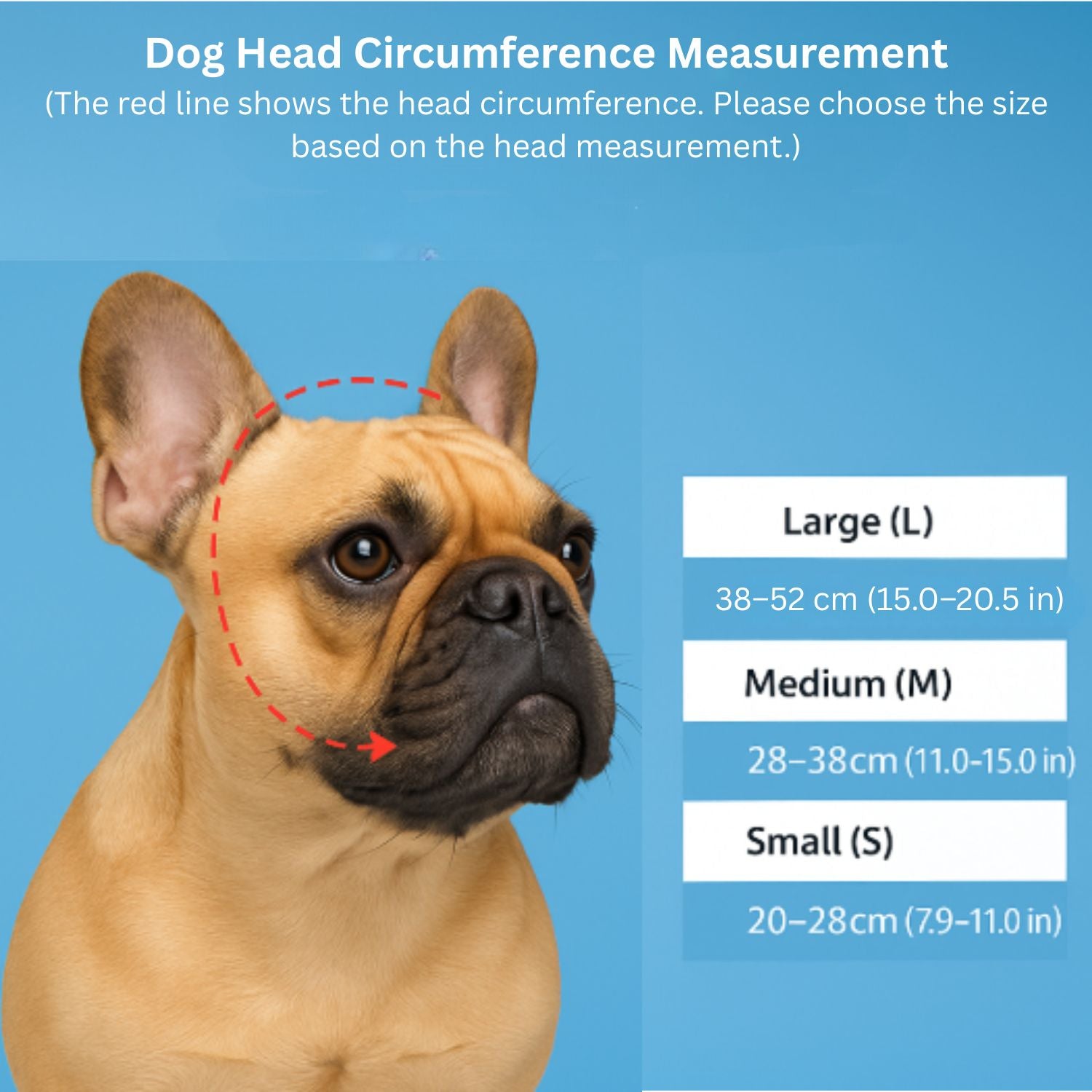 French Bulldog Windproof Dog Item for Outdoor Adventures-fadou