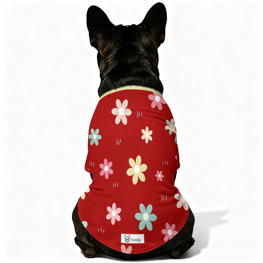Como French Bulldog Knit Sweater for Outdoor Adventures-fadou