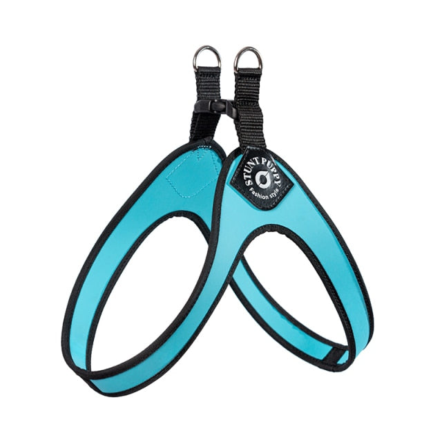 French Bulldog No-Pull Walking Harness for Travel Comfort-fadou
