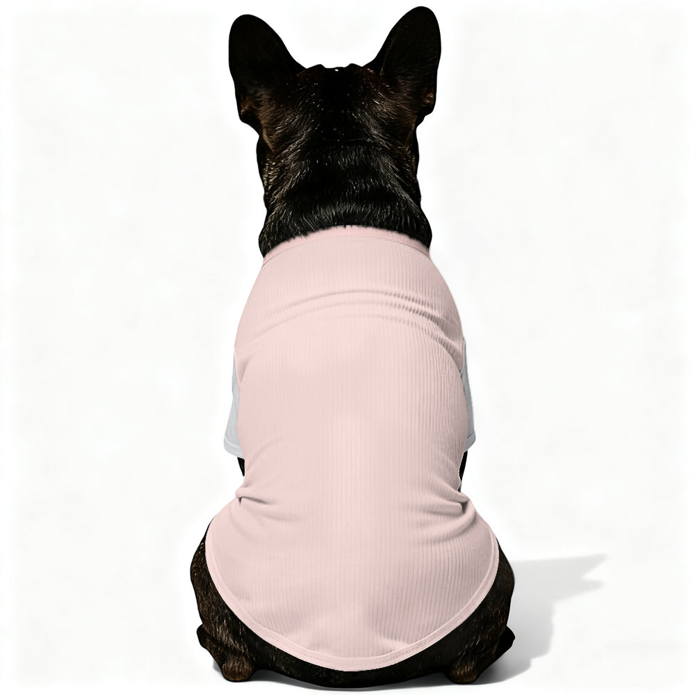 Rollo French Bulldog Knit Sweater for Training Sessions-fadou