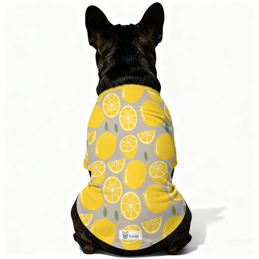 Luca French Bulldog Knit Sweater for Outdoor Adventures-fadou
