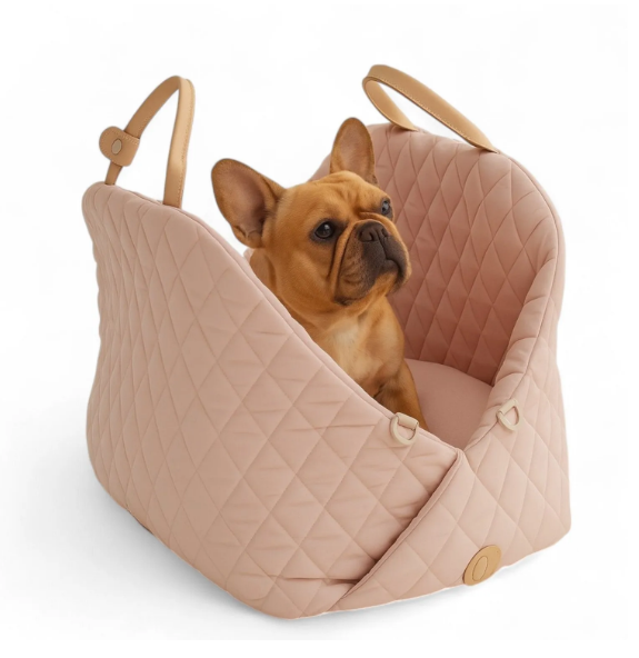 Backpack Carrier
