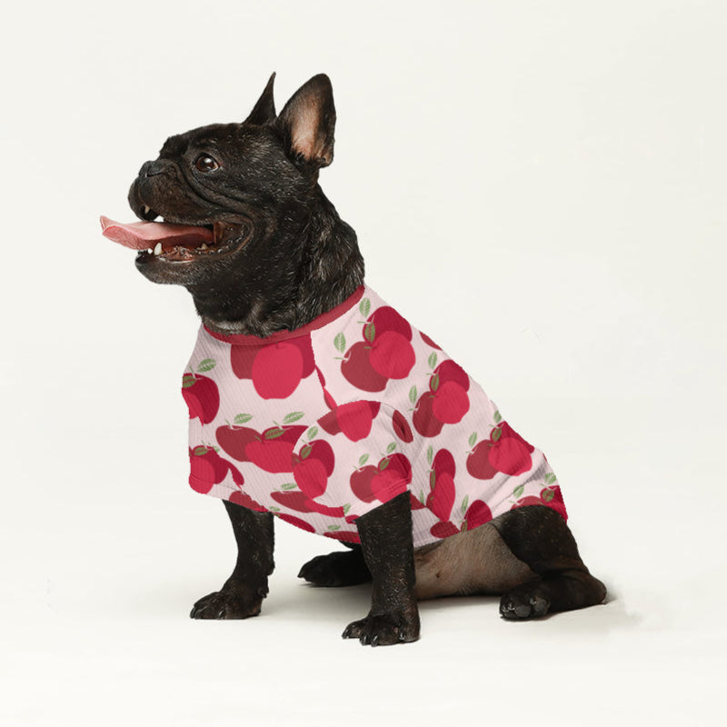 Dude French Bulldog Warm Knitwear for Outdoor Adventures-fadou