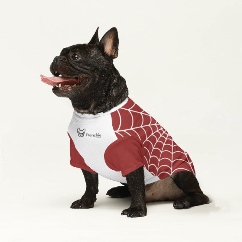 Castor French Bulldog Warm Knitwear for Brachycephalic Dogs-fadou