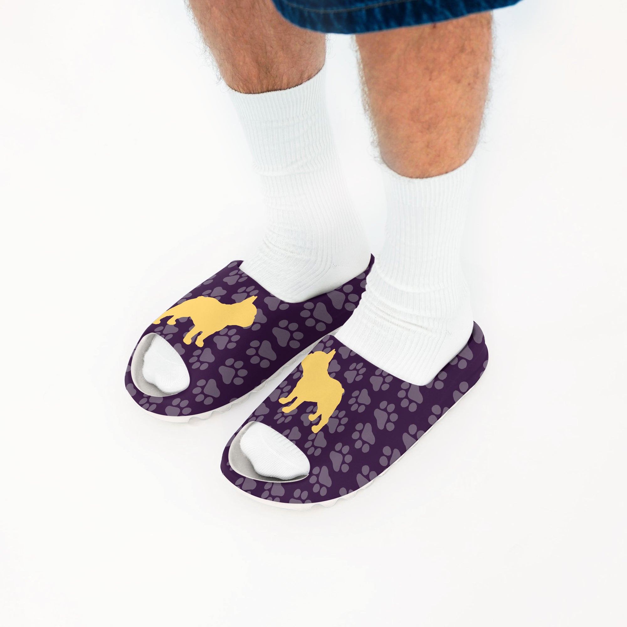 Benson French Bulldog Summer Slides for Dog Moms & Dads-fadou