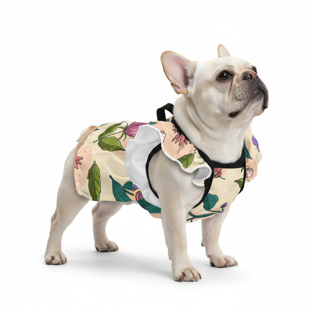 Harper French Bulldog Summer Dress for Training Sessions-fadou