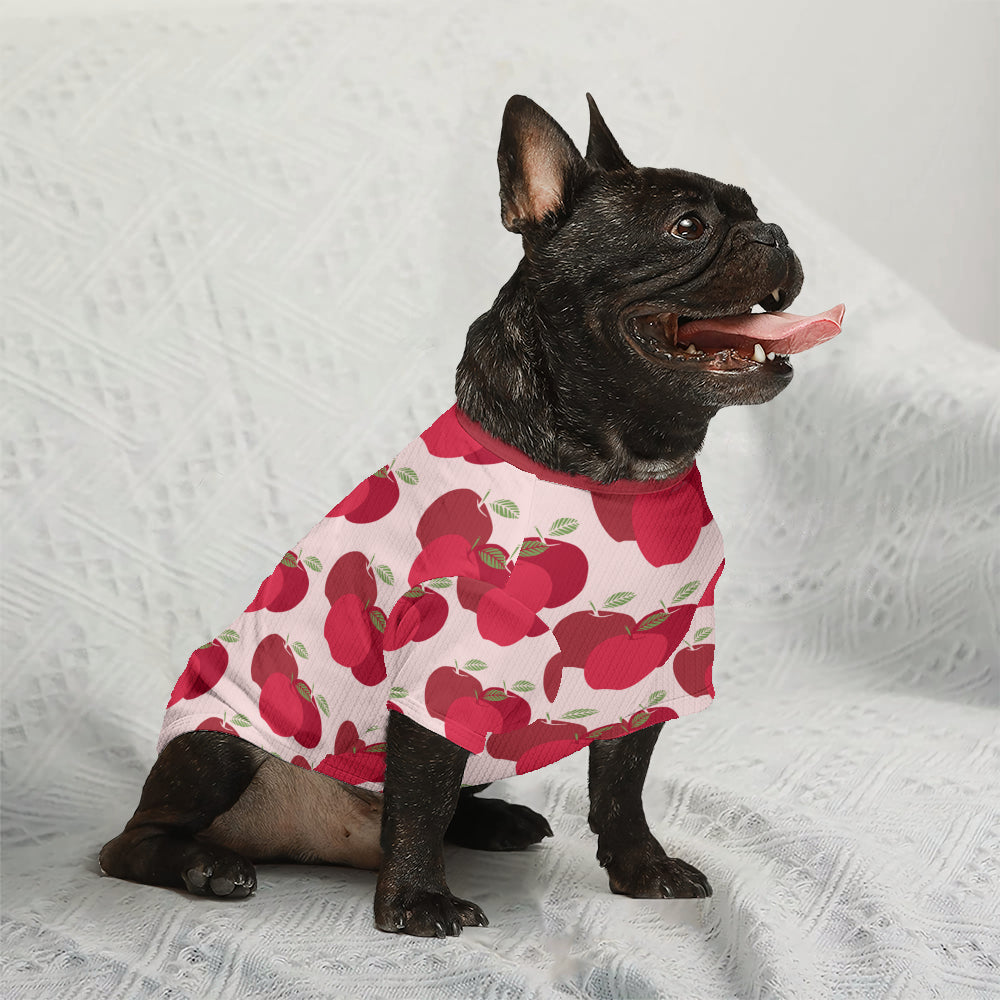 Dude French Bulldog Warm Knitwear for Outdoor Adventures-fadou
