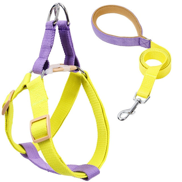 Pureleash™️ - French Bulldog Harness and Leash for Outdoor Adventures-fadou