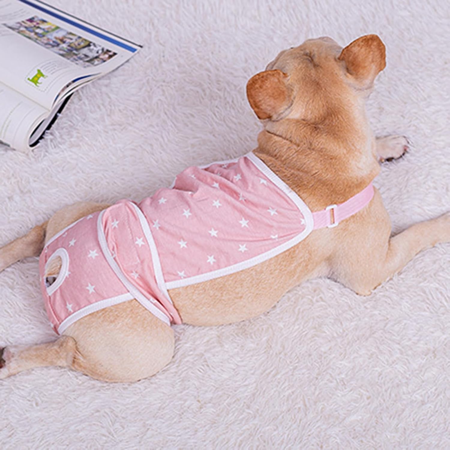 French Bulldog Absorbent Underwear for Flat-Face Breeds-fadou