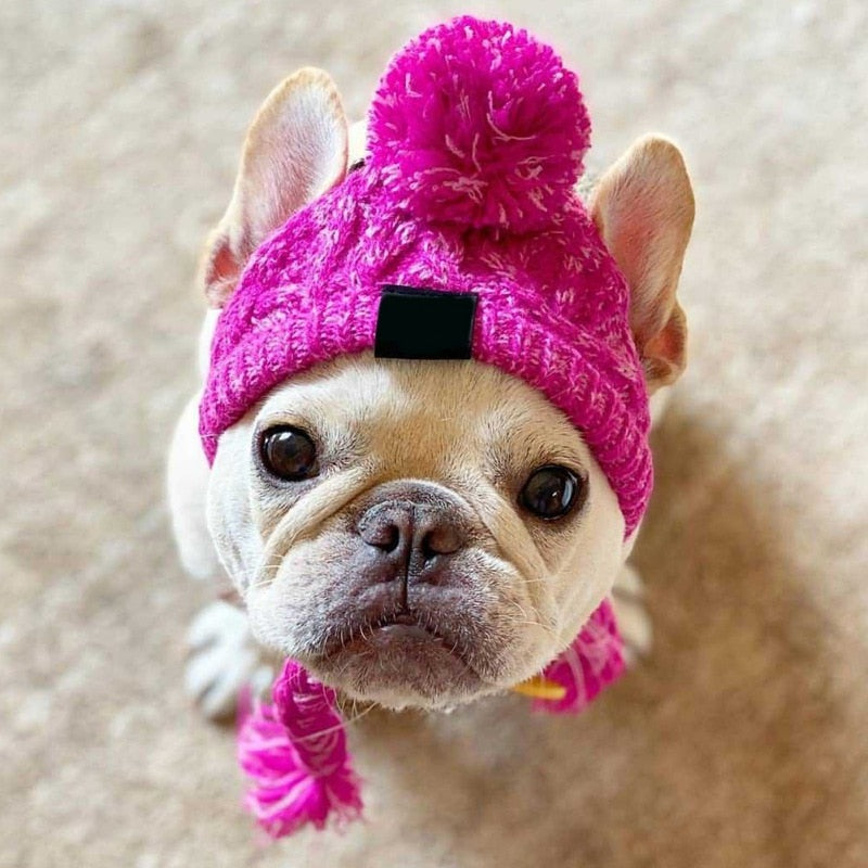 French Bulldog Winter Cute Dog Hat for Training Sessions-fadou
