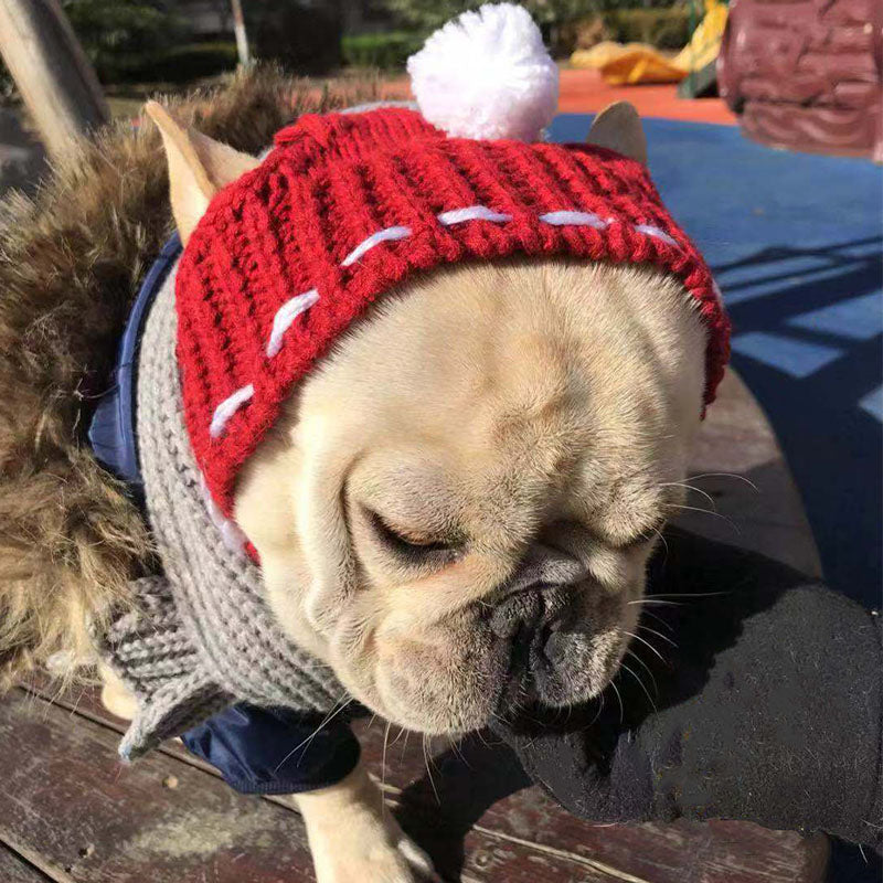 French Bulldog Winter Sun Headwear for Brachycephalic Dogs-fadou
