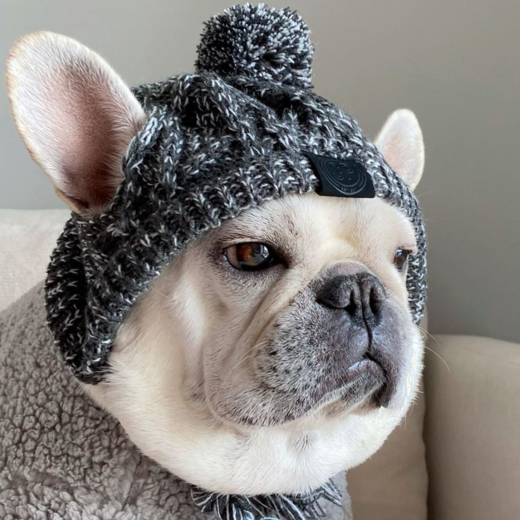 French Bulldog Winter Sun Headwear for Outdoor Adventures-fadou