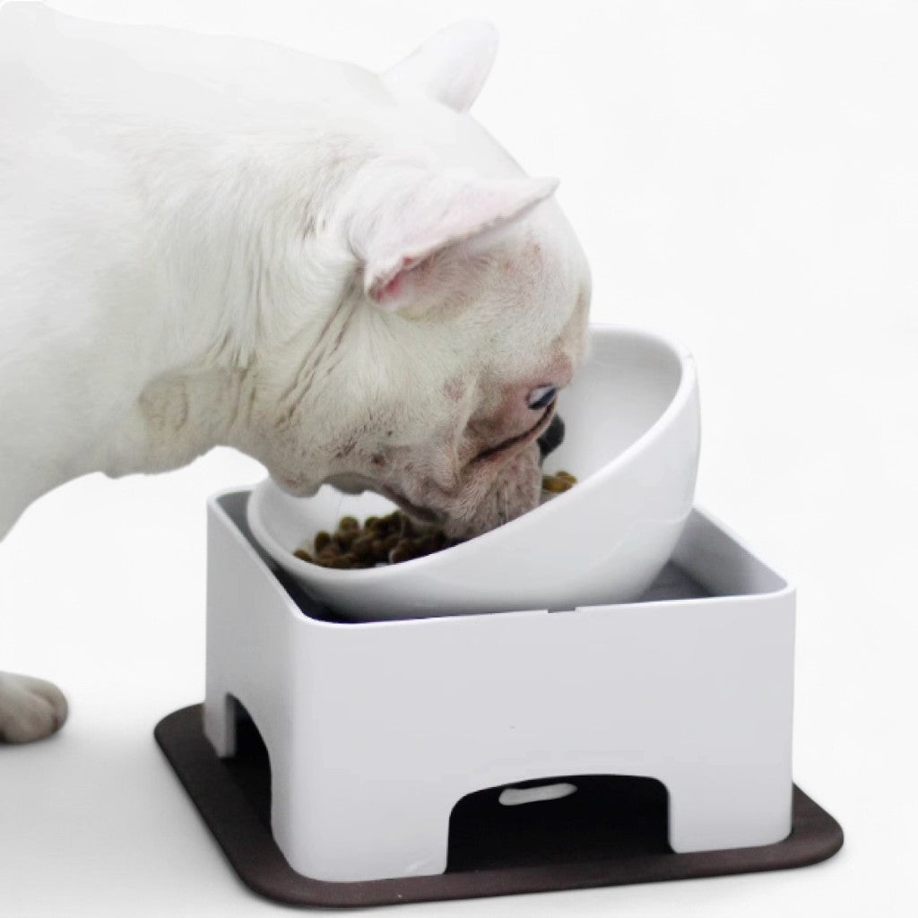 French Bulldog Ceramic Food Dish for Outdoor Adventures-fadou