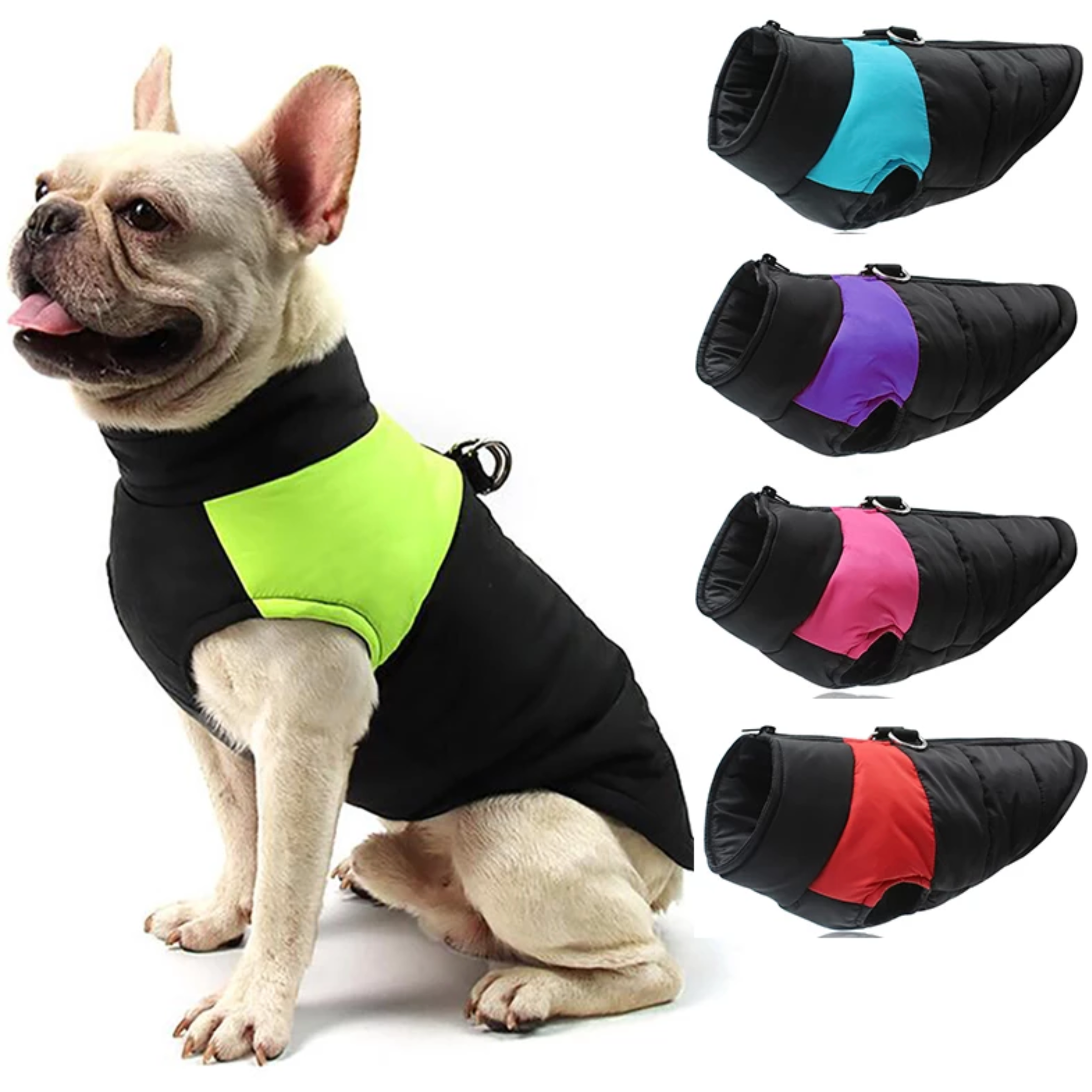 French Bulldog Waterproof Winter Jacket for Cozy Nights-fadou