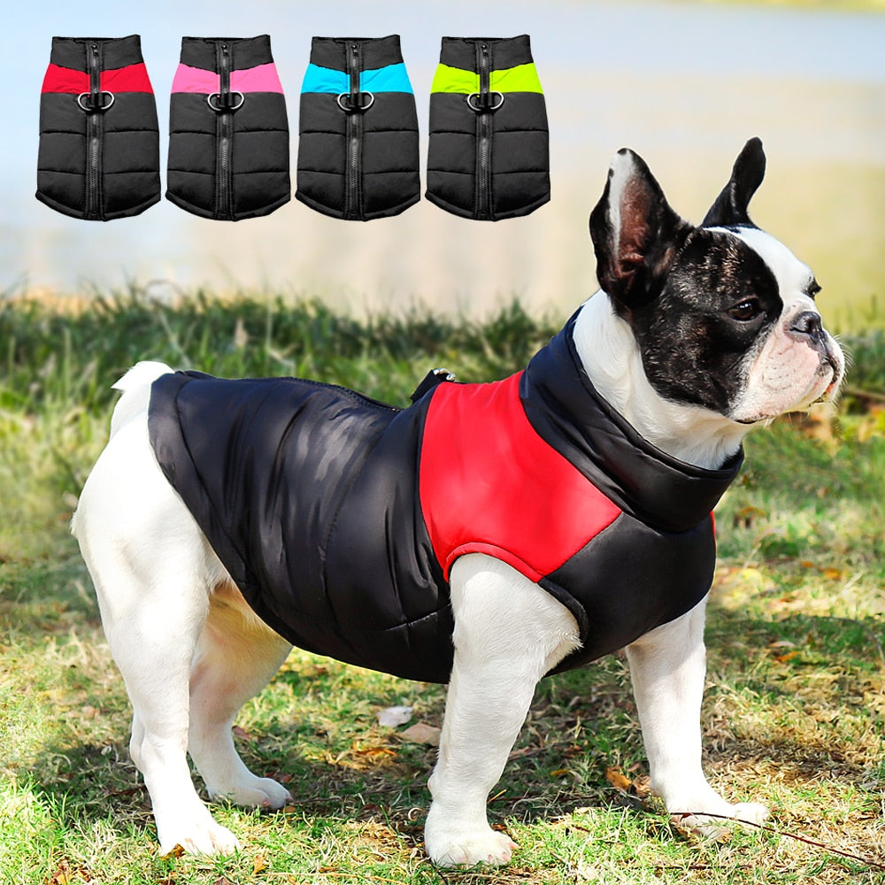 French Bulldog Waterproof Winter Jacket for Cozy Nights-fadou