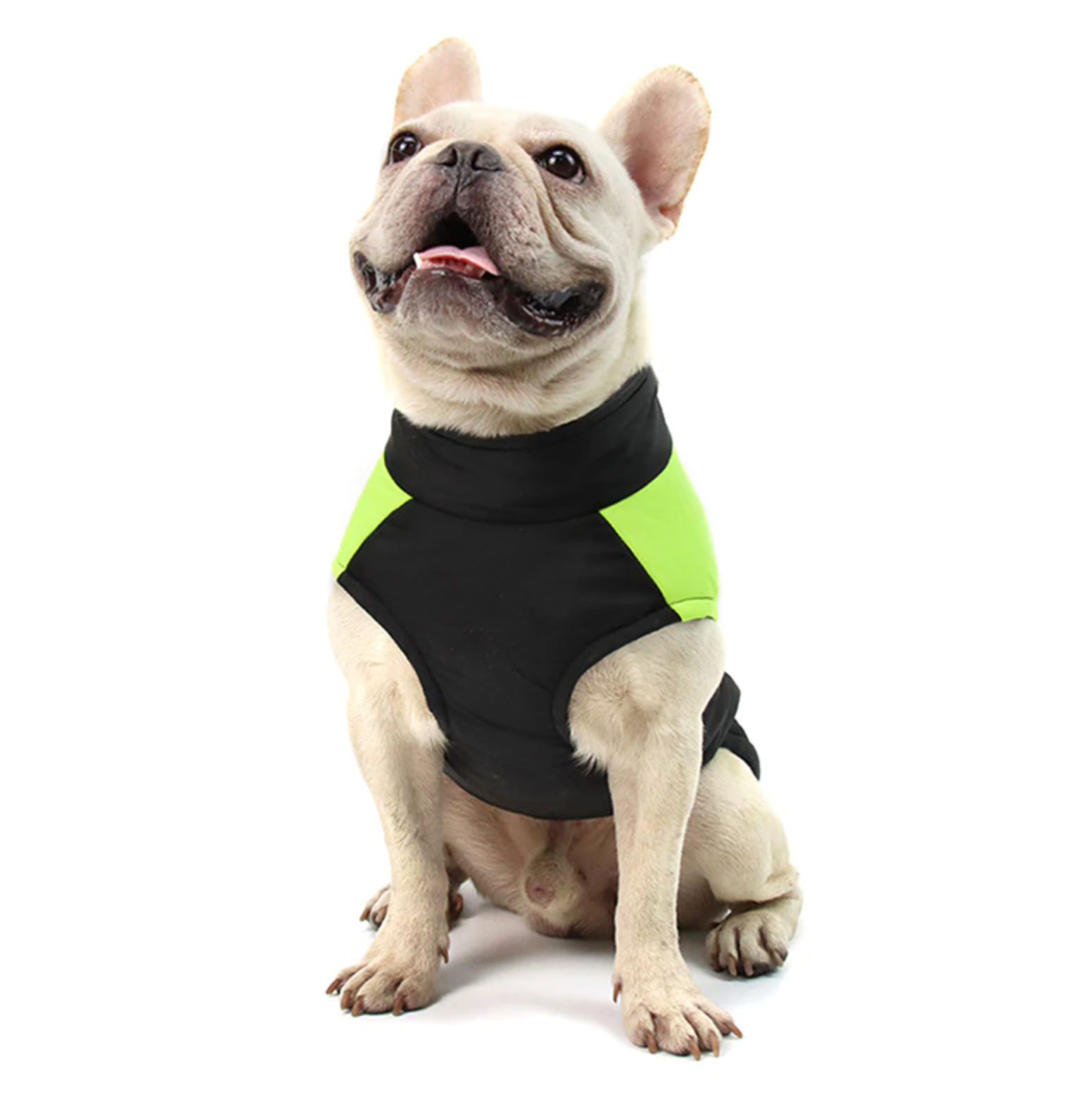French Bulldog Waterproof Winter Jacket for Cozy Nights-fadou
