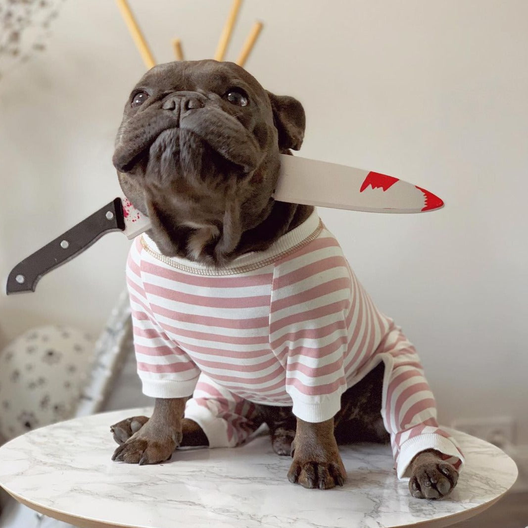 French Bulldog Halloween Dog Item for Brachycephalic Dogs-fadou