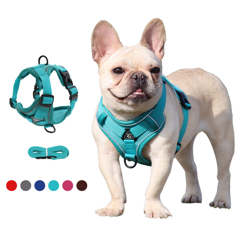 Reluxy™ -french Bulldog Harness Leash Set for Daily Walks-fadou