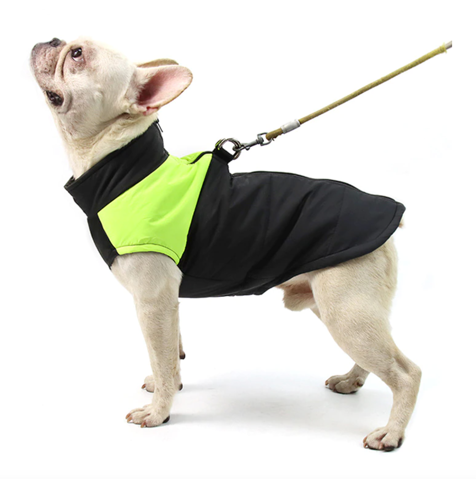 French Bulldog Waterproof Winter Jacket for Cozy Nights-fadou