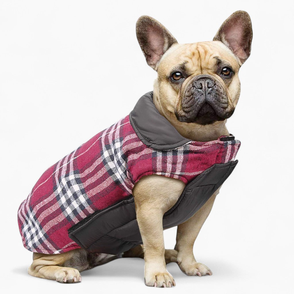 French Bulldog Jacket for Bulldog Fans for French Bulldogs-fadou