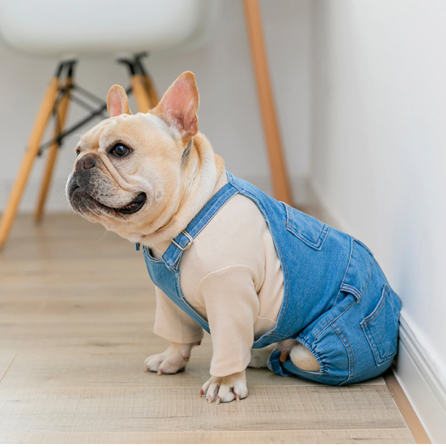 Jean French Bulldog Dog Accessory for Brachycephalic Dogs-fadou