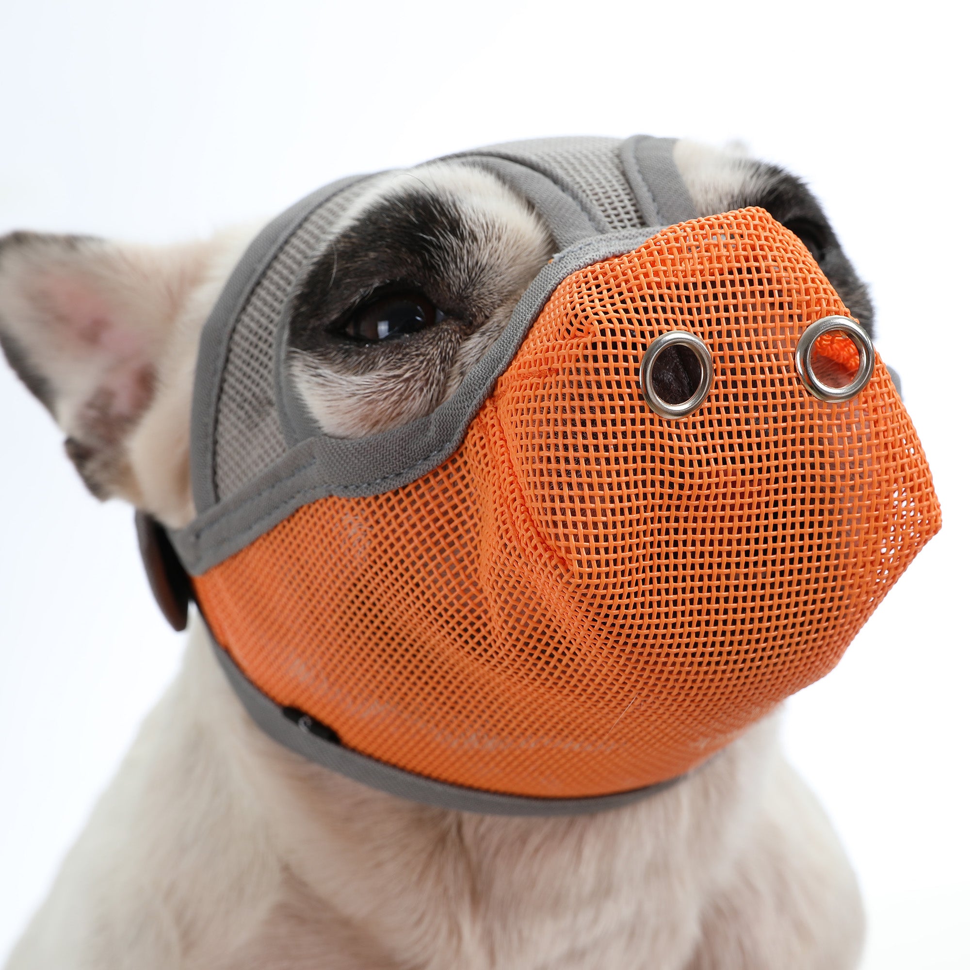 Frenchie Adjustable Safety Muzzle for Training Sessions-fadou