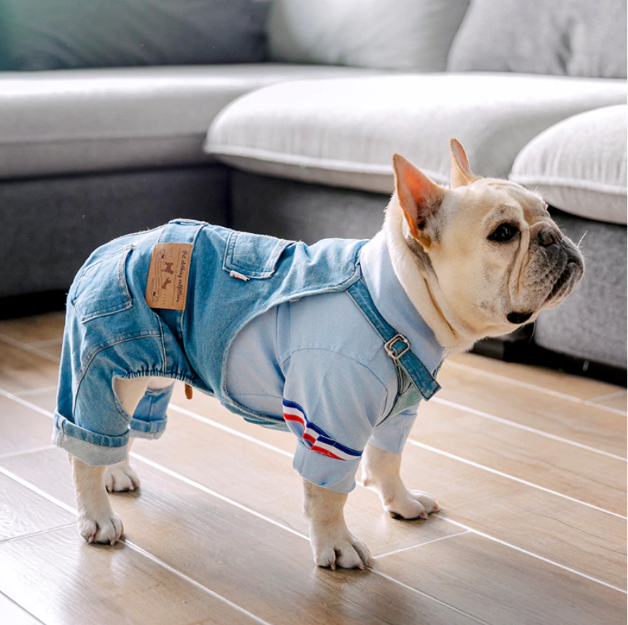 Jean French Bulldog Dog Accessory for Brachycephalic Dogs-fadou