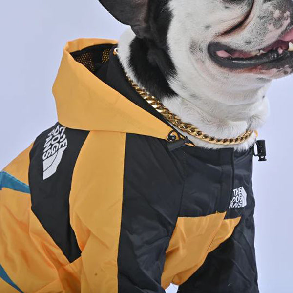 Dogium™ - French Bulldog Raincoat for Training Sessions-fadou