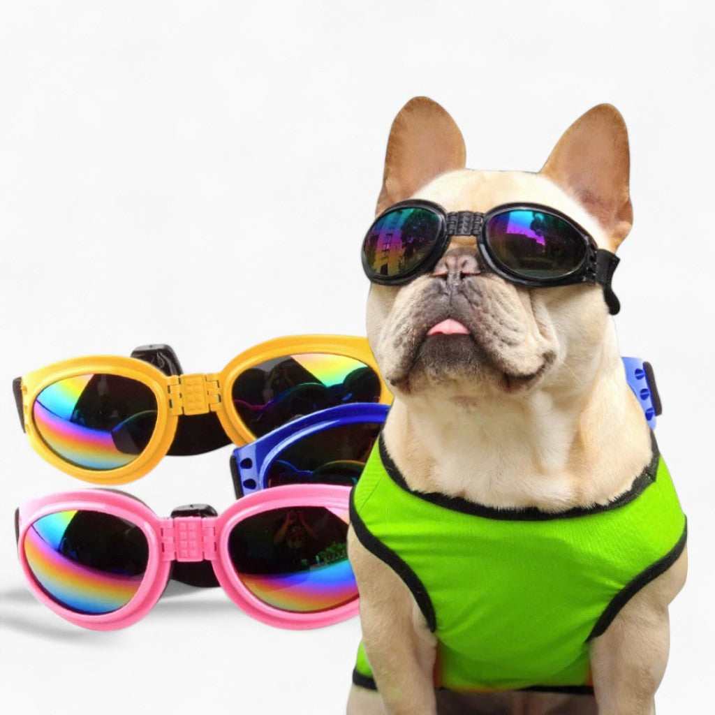 Waterproof Goggles for Dog Lovers and Owners and Owners-fadou