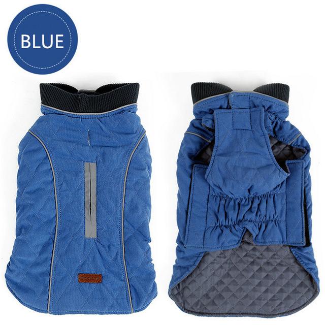 Cooper Jacket - Frenchie Waterproof Jacket for Frenchie Fans-fadou