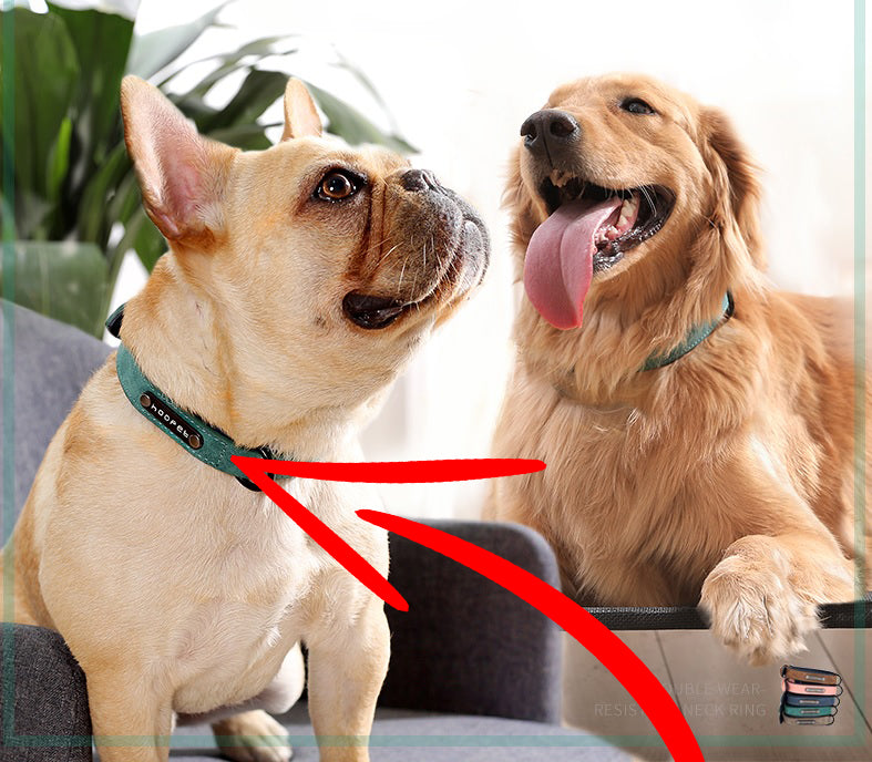 French Bulldog Personalized Neck Collar for Outdoor Adventures-fadou