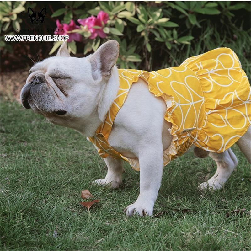 French Bulldog Summer Dog Outfit for Outdoor Adventures-fadou