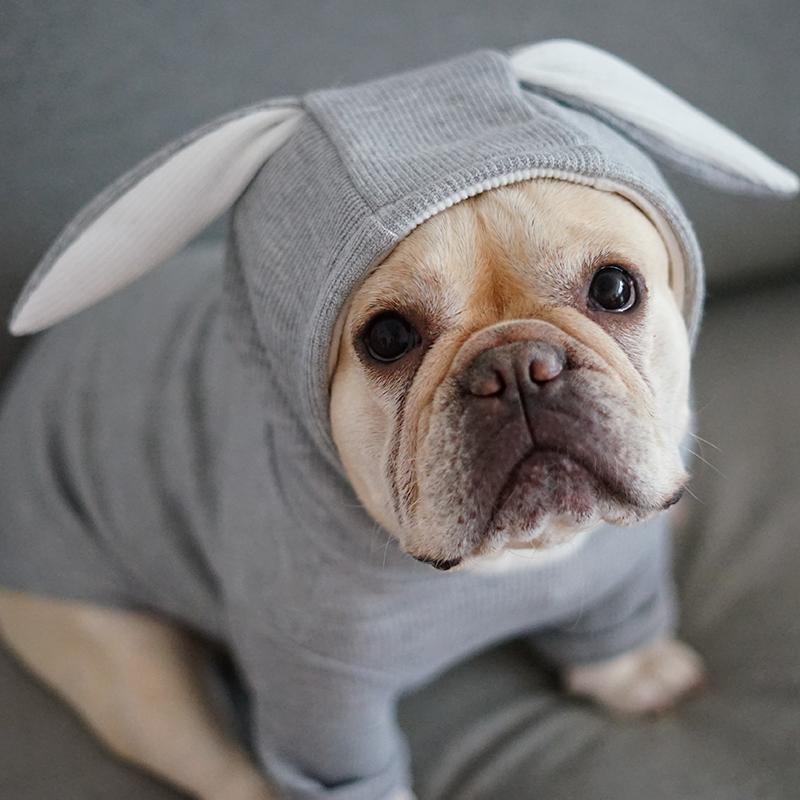 Rabbit French Bulldog Dog Mom Hoodie for Frenchie Enthusiasts-fadou