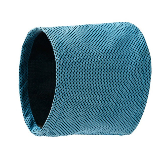 Cooling Bandana for French Bulldog Owners and Fans for Frenchies-fadou